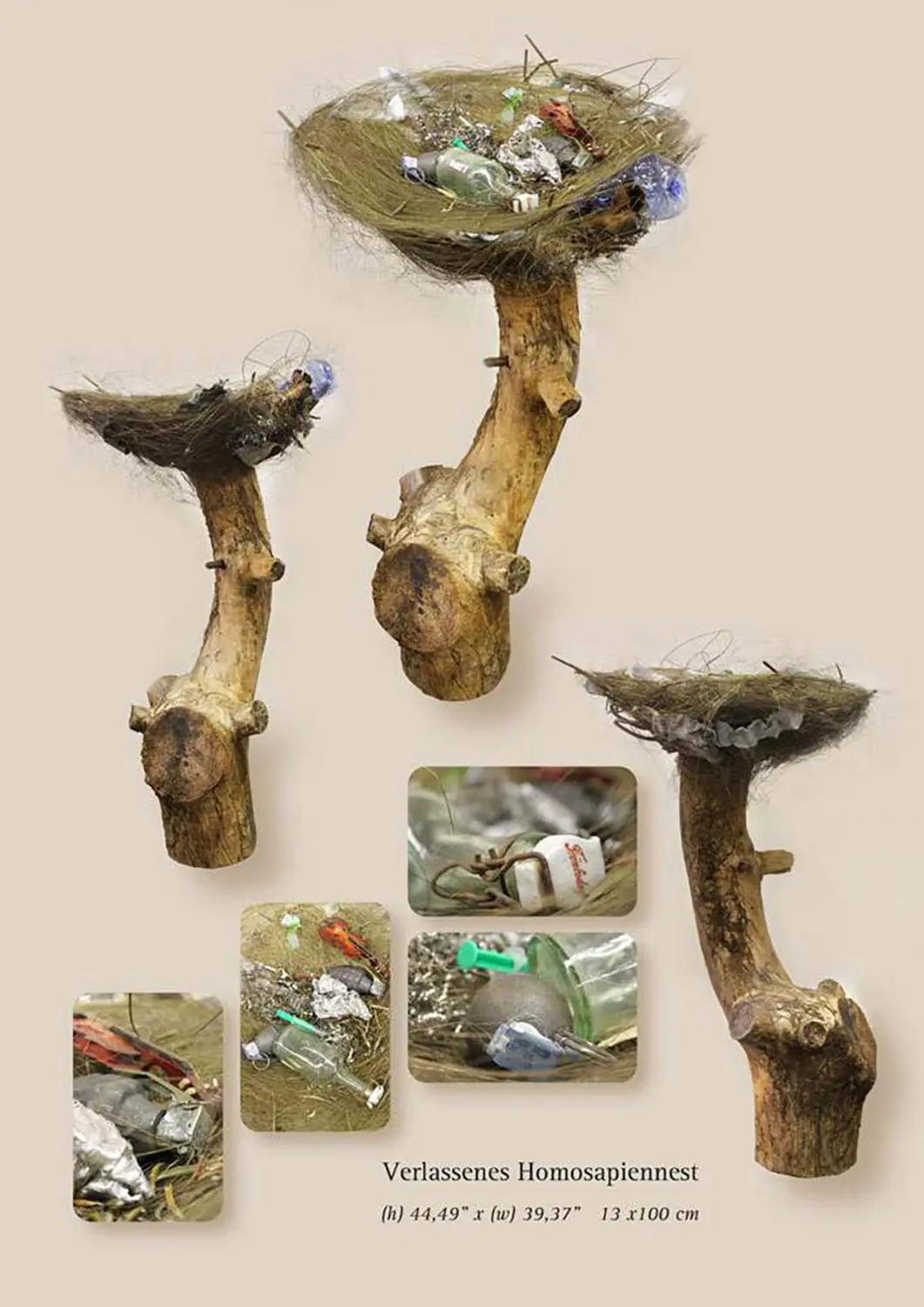 Zwego GmbH- Verlassenes Homosapiennest